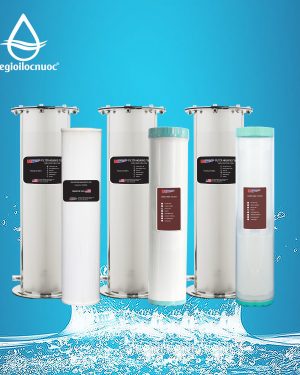 BỘ LỌC TỔNG MỸ DELUX-2